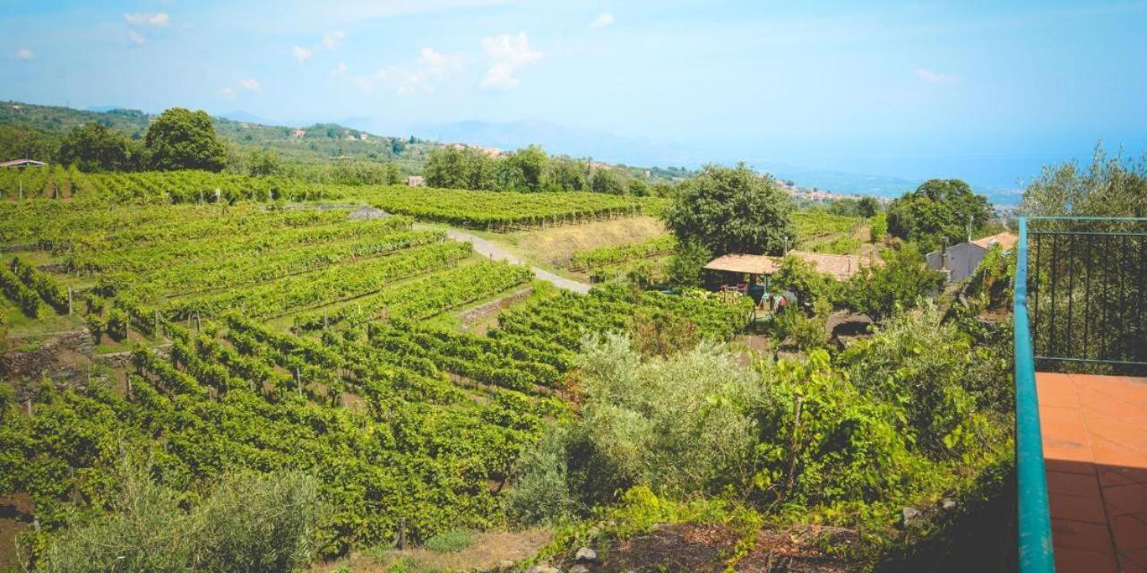 Agriturismo Le Case Del Merlo Milo Kültér fotó