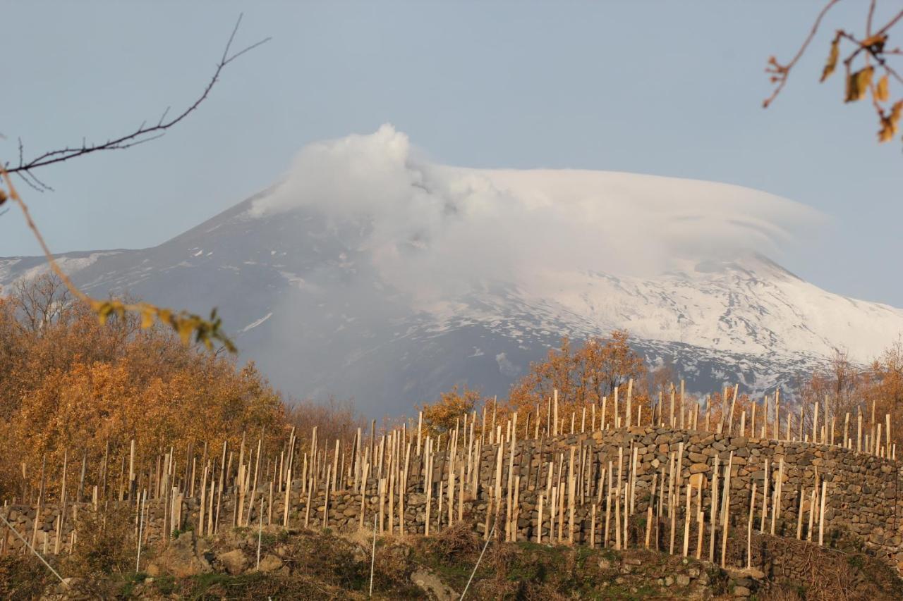 Le Case Del Merlo Turismo Rurale Milo Kültér fotó