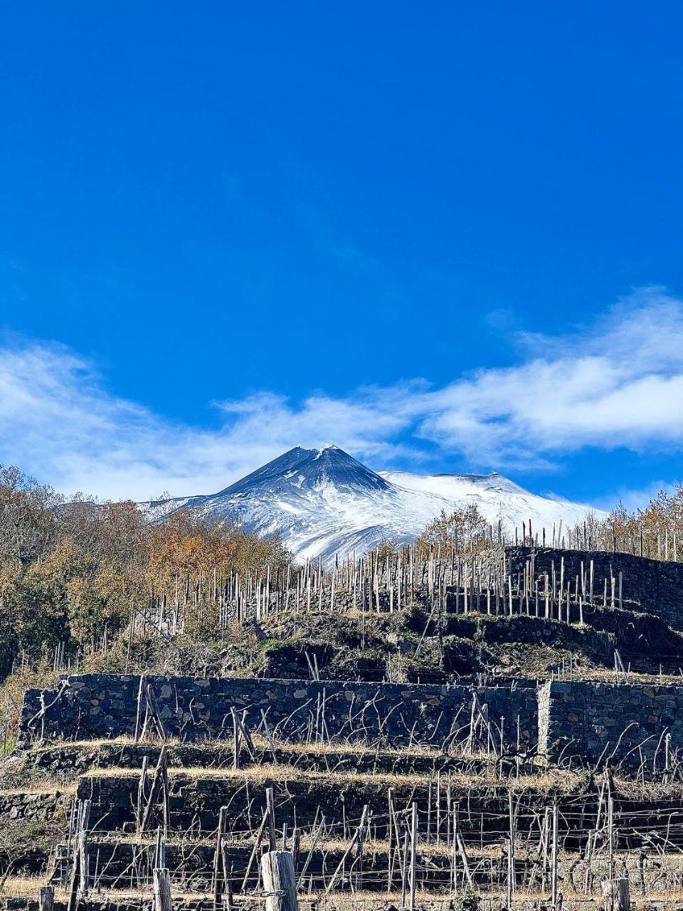 Le Case Del Merlo Turismo Rurale Milo Kültér fotó